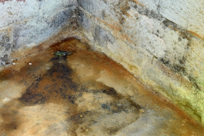 moldy basement floor