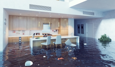flooded basement