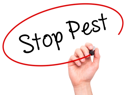 Stop Pest