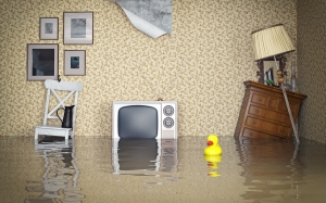 living room flooded