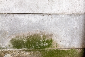 damage to house after flood