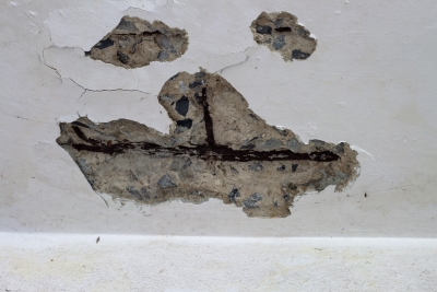 moldy roof