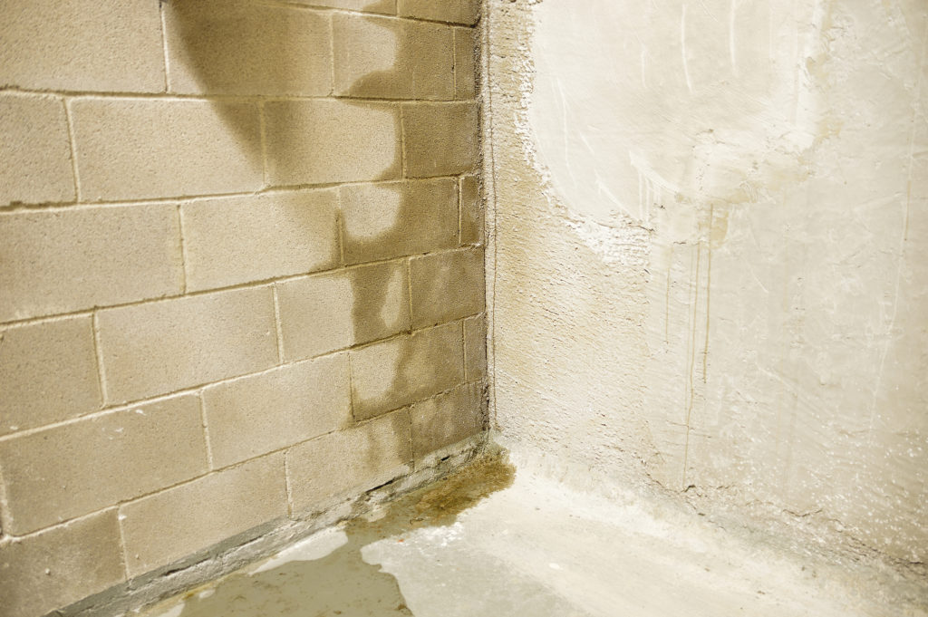 Sneaky Signs Of A Wet Basement Budget, What To Do About A Leaky Basement