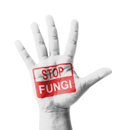 Stop Fungi Stamp