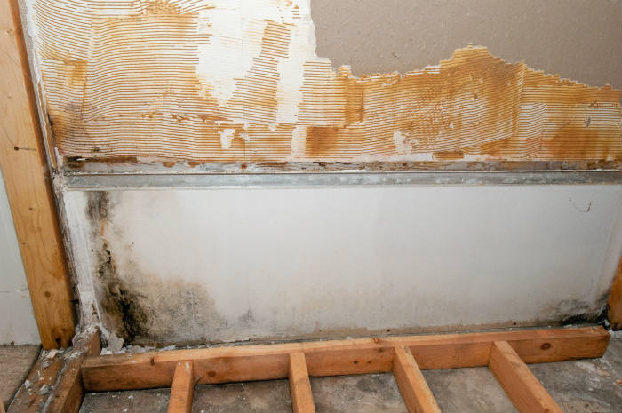 Damaged Crawlspace Encapsulation in Maryland