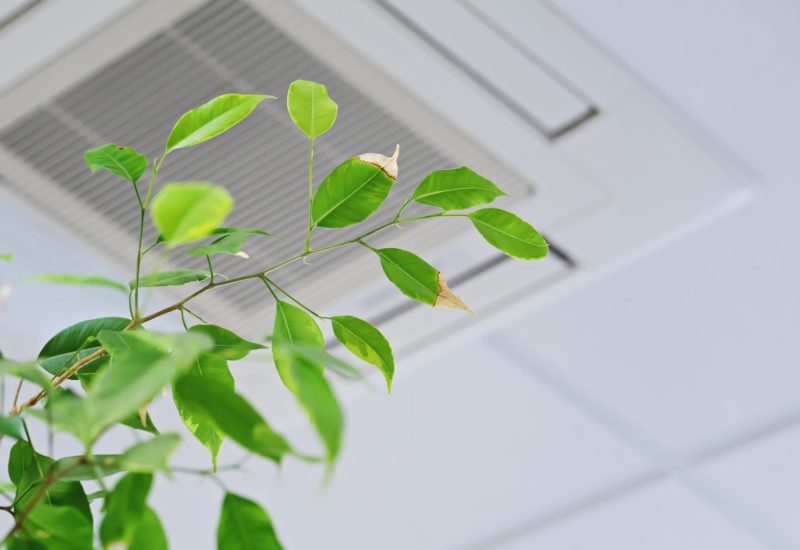 Indoor Air Quality in Maryland