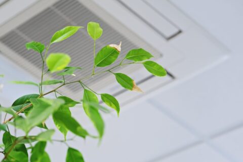 Indoor Air Quality Services in Maryland
