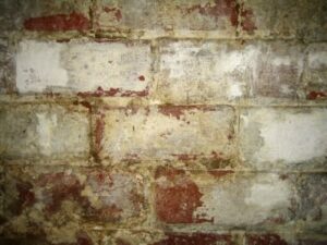Brick Wall Damp with Moisture in Maryland