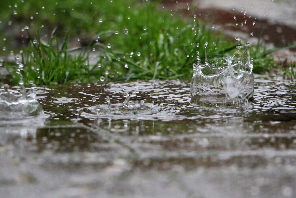 April Showers May Bring Wet Basements What to Know