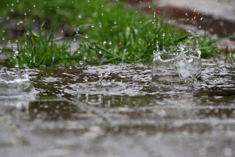 maryland rainfall