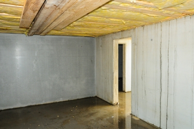 Causes of Basement Water Damage in Maryland