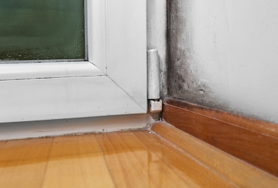 Mold Spots on a Home Wall, Showing Causes of Household Mold in Maryland