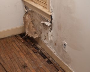 Mold Growing on a Basement Wall Due to Groundwater Issues in Maryland