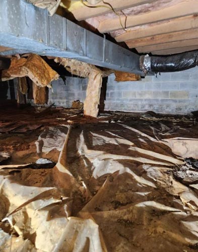 damage crawlspace encapsulation