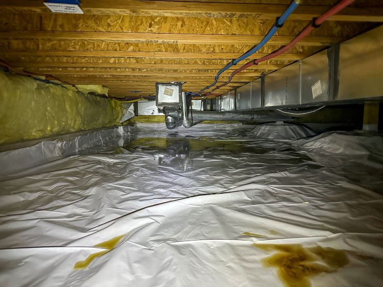 Encapsulated crawl space with vapor barrier, ductwork and signs of standing water
